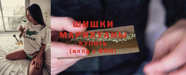 мдпв Лиски