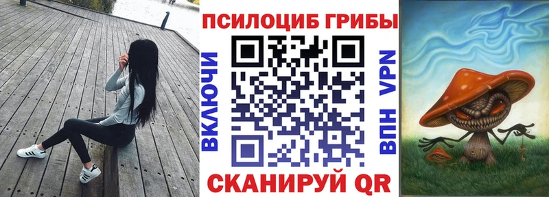 как найти закладки  Новая Ляля  кракен рабочий сайт  Галлюциногенные грибы Psilocybe 